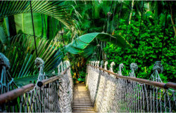 Natur / Tierwelt