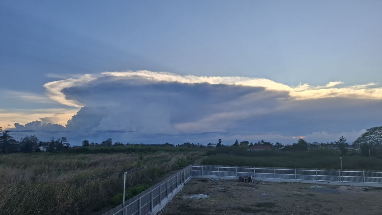 Impressionen & neuer Mitbewohner